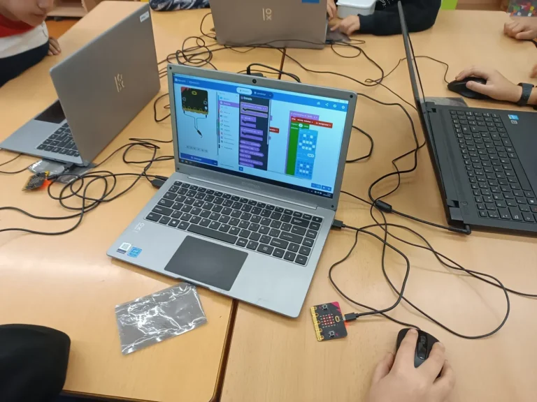 Primaria (4º a 6º)