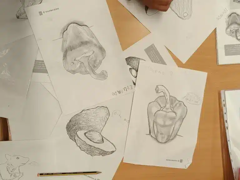 Extraescolars de Dibuix Artístic